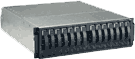 IBM DS300